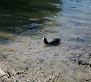 Park Schönbusch, Aschaffenburg
