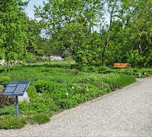 Eindrücke vom Rundgang durch den Berggarten