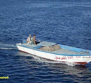 Schnorchelausflug mit SimSim-Reisen