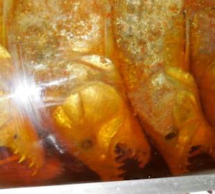 Ägyptische Fischspezialitäten