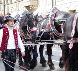 Brauerei Kitzmann Erlangen 6er Span