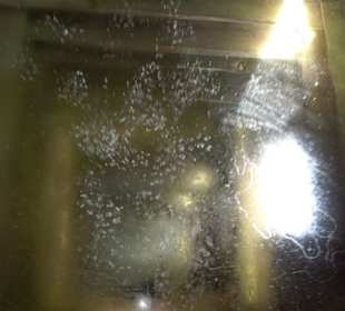 Phäno-Pfad Aichstetten