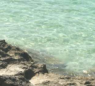 Küstenwandern Colonia Sant Jordi
