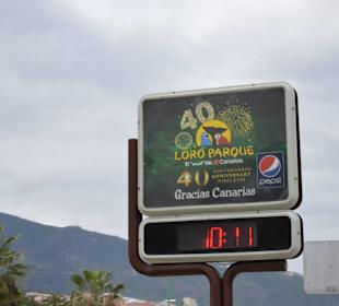 Tagesausflüg mit dem Taxiflieger nach Teneriffa