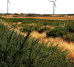 Hochebene Paul da Serra