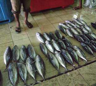 Fischmarkt in Male-nichts für feine Nasen