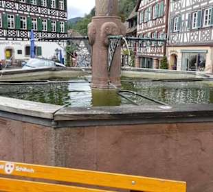 Stadtbrunnen