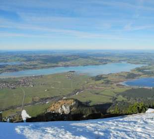 Forggensee