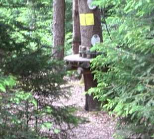 Hochseilgarten Hallwangen