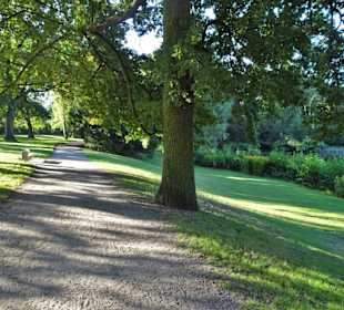 Spaziergang durch den Stadtpark Lübeck