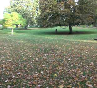 Invalidenfriedhof