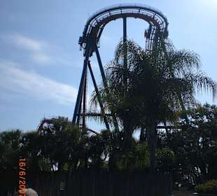 SheiKra 1