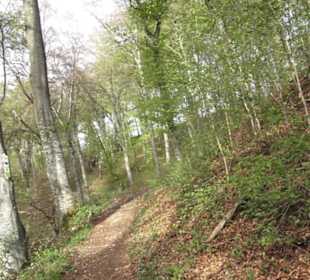 Wanderweg Hochgehswiggert