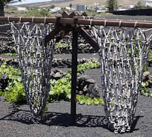 Ein Geschirr für Dromedare bei der bäuerlichen Arb