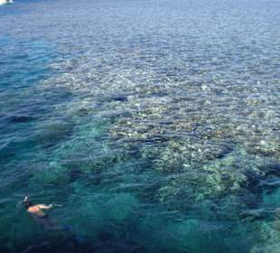 Schnorchel Ausflug