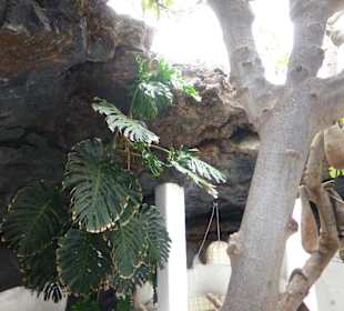 Blick von Lavablase hoch zum Wohnhaus