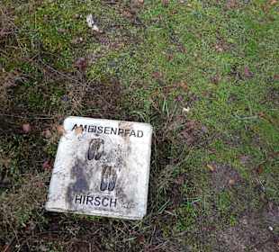 Ameisen Barfußpfad Wildtierabdrücke