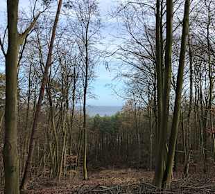 Wandern Heringsdorf
