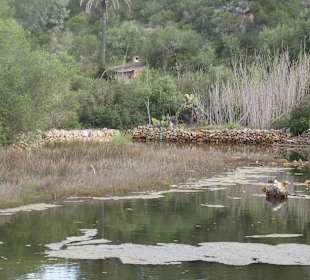 Ganz nah im Naturschutzgebiet