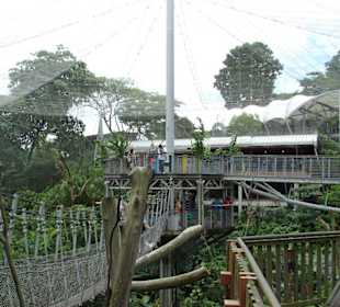 Jurong Bird Park
