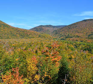 Fahrt mit dem Notch Train