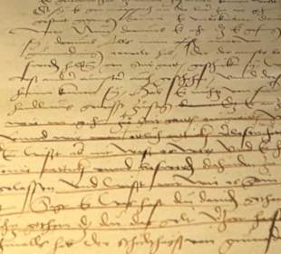 Gestütsmuseum Offenhausen