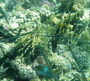 Ausserhalb der Bucht