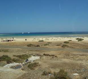 Ausflug nach Abu Dabab