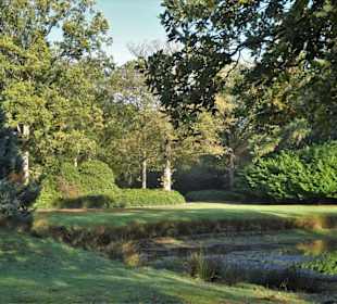 Herbstspaziergang durch den Schlosspark Lütetsburg