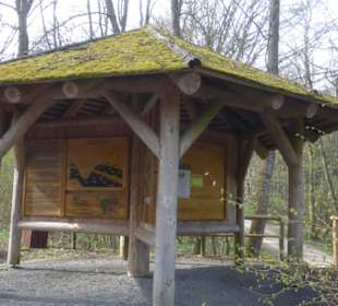 Wanderung Handthal → Ebrach → Handthal