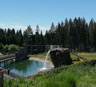 Rundwanderweg Schluchsee