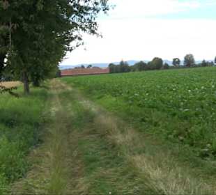 Sonnenaufgangs-Rundwanderung Rübgarten