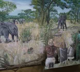 Geschichte Sambias gut erzählt