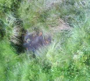 Tatrzański Park Narodowy