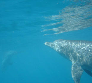 Wunderschöner Ausflug mit SimSim Reisen