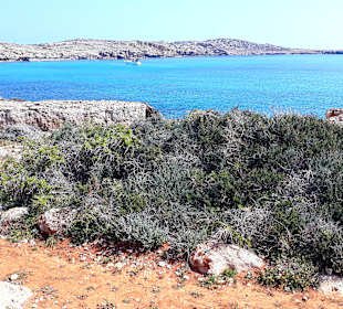 Nationalpark Kap Greco