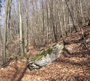 Burgruine Hohenwittlingen