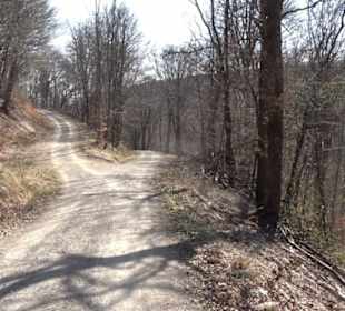Geologischer Lehrpfad Kirnbachtal