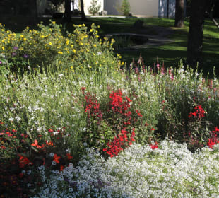 Kurpark Davos