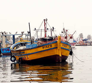 Stadtrundgang Paracas