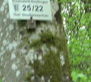 Naturpark Schönbuch