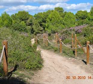 Naturschutzgebiet im Umfeld der Festung