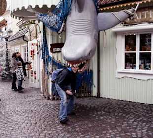 Europapark im Winter