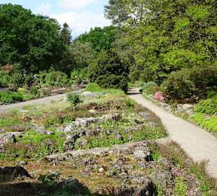 Spaziergang durch den Botanischen Garten Bremen