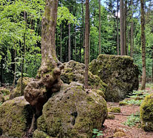 Druidenhain bei Wohlmannsgesees