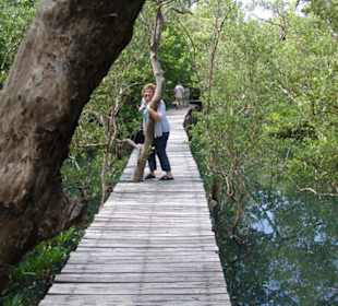 Schwindelfrei muss man schon sein