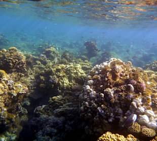 Wir kommen wieder, aber nur noch im Winter