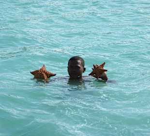 Wir holen Seesterne aus dem Wasser