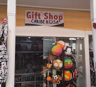 Stadtrundfahrt Bavaro