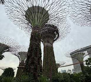 Gardens by the Bay